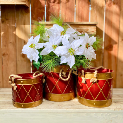 “Me and My Drum” Poinsettia Planter