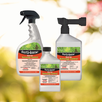 Nutsedge Control