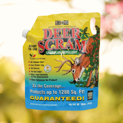 Deer Scram