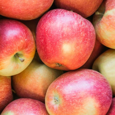 Braeburn Apple (Malus 'Fruit Braeburn') - 2 gallon 36"