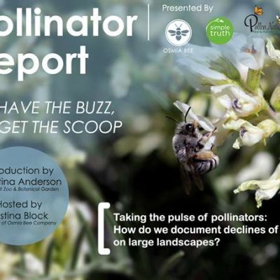[Webinar] Taking the pulse of pollinators