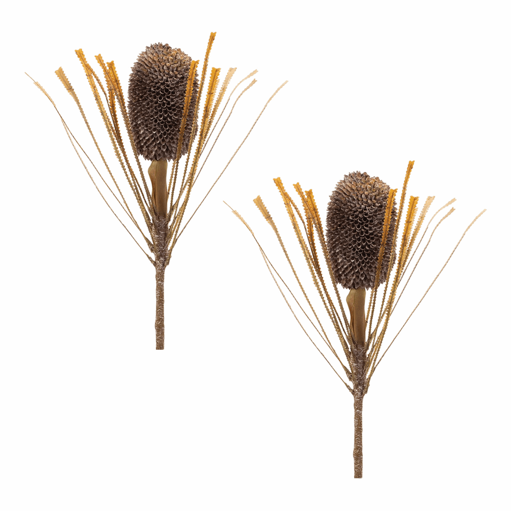 Fall Banksia Pod Stem (Set of 2) - Image 2