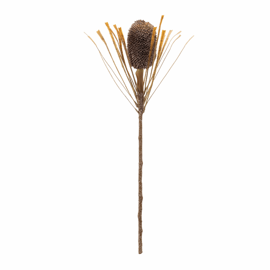Fall Banksia Pod Stem (Set of 2) - Image 3