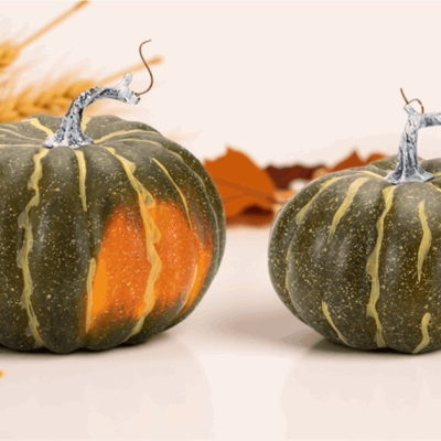 Foam Pumpkin Decor (Set of 4)