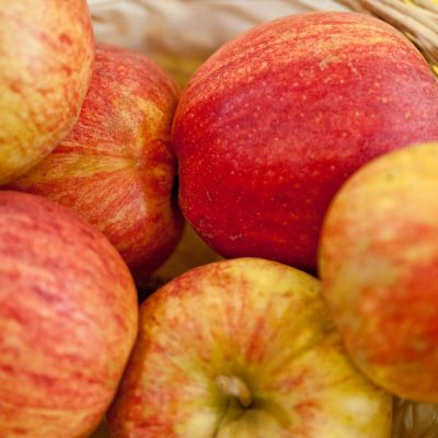 Gala Apple (Malus 'Fruit Gala') - 2 gallon 36"