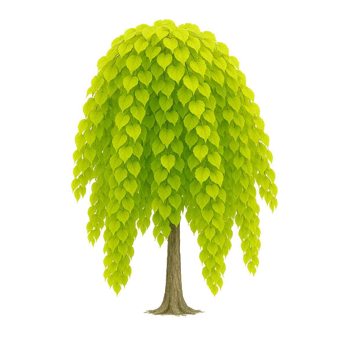 Golden Falls Redbud - Image 2