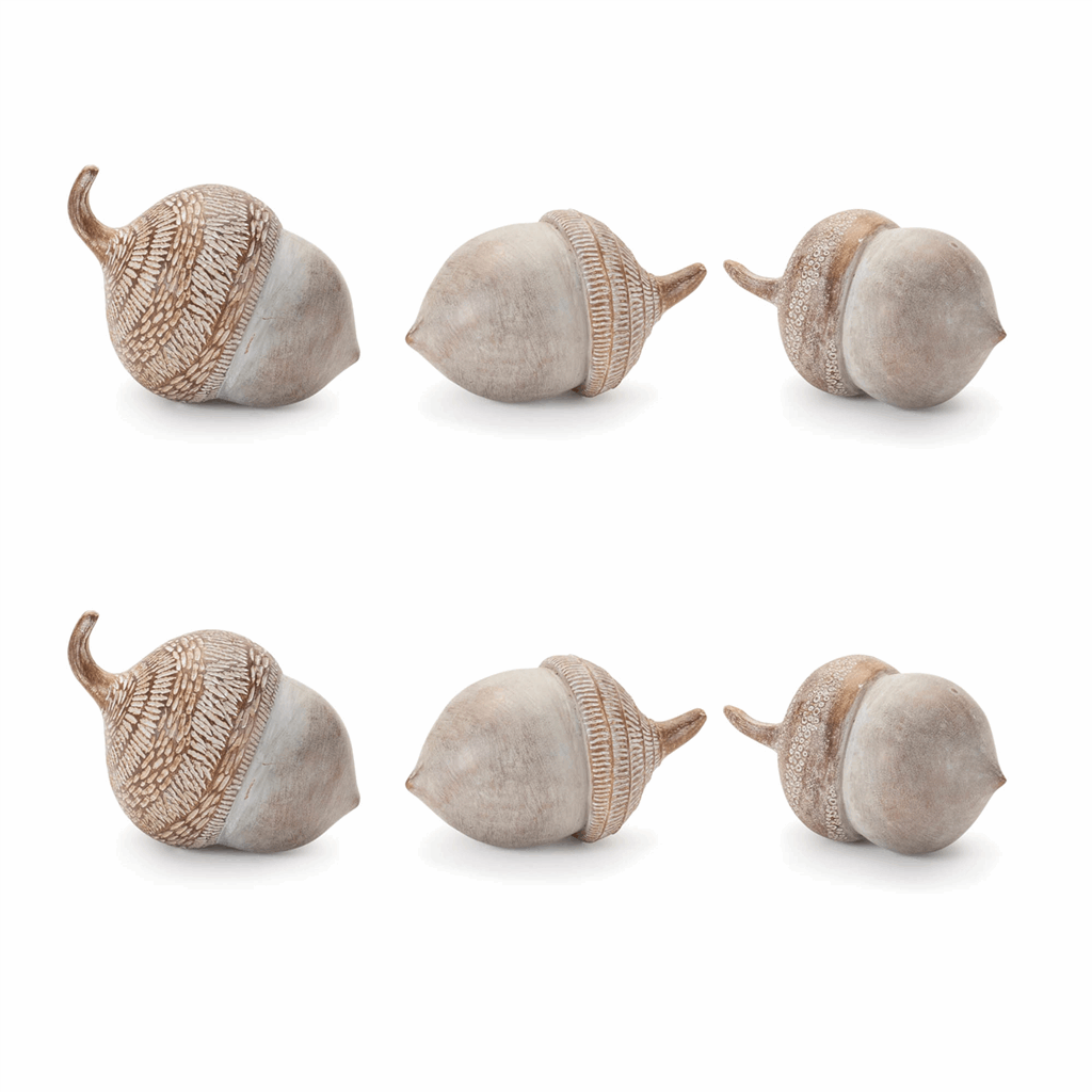White Washed Etched Acorn (Set of 6) - Image 6