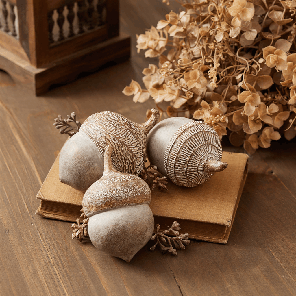 White Washed Etched Acorn (Set of 6) - Image 5