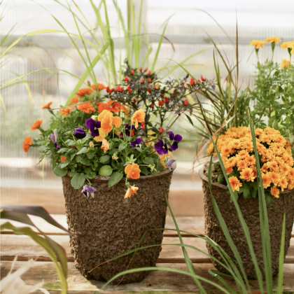 Fall Grab & Go Planter