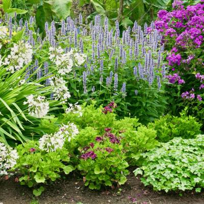 Perennial Garden Maintenance