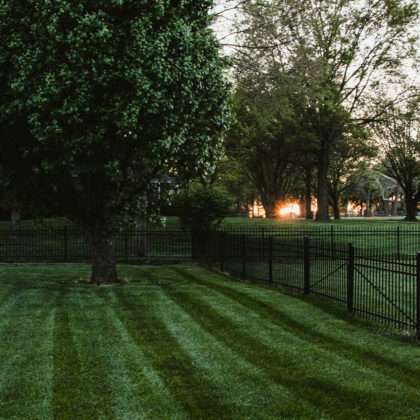 3 QUICK TIPS FOR A BETTER YARD