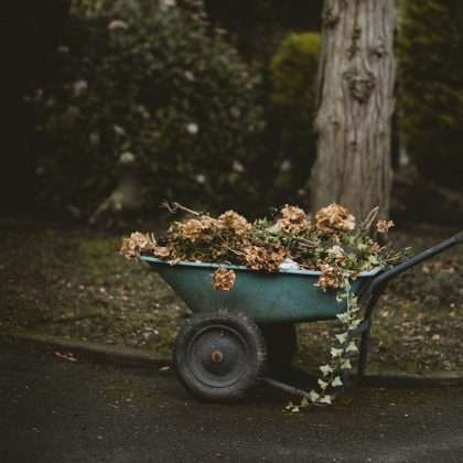 Post-Summer Perennial Garden Maintenance