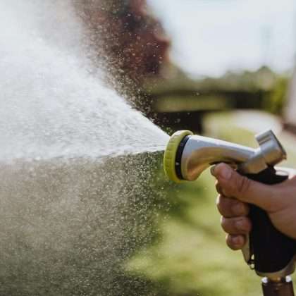 Ultimate Guide to Watering