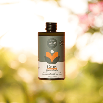 We The Wild Grow Concentrate