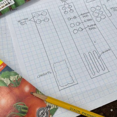 Grow Your Own Food - 1:00pm