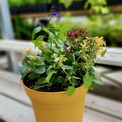 Pollinator Workshops