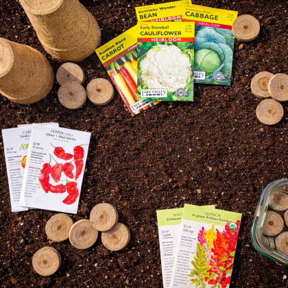 Seed Starting and Spring Planning