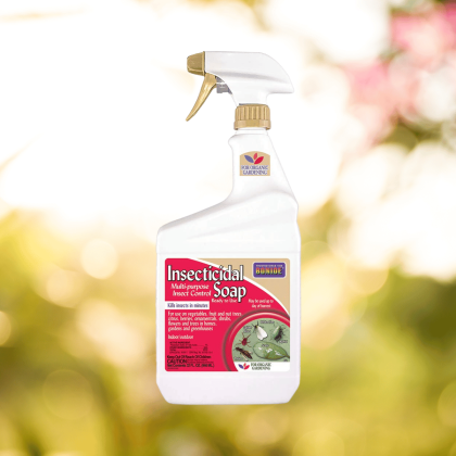 Insecticidal Soap