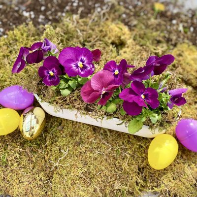Little Sprouts: Pansy Planter (with Easter Egg Hunt)