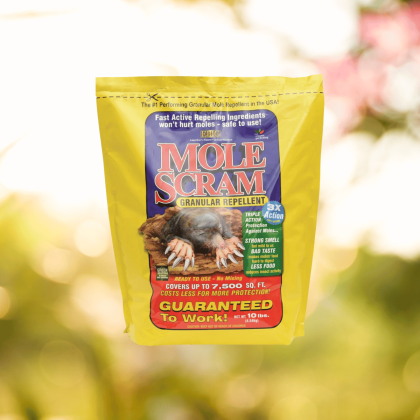 Mole Scram