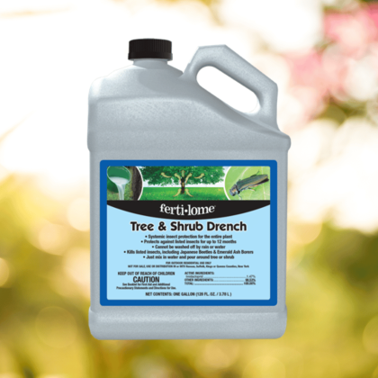 insect drench 1 gallon
