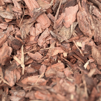 Pine Bark Mini Nuggets