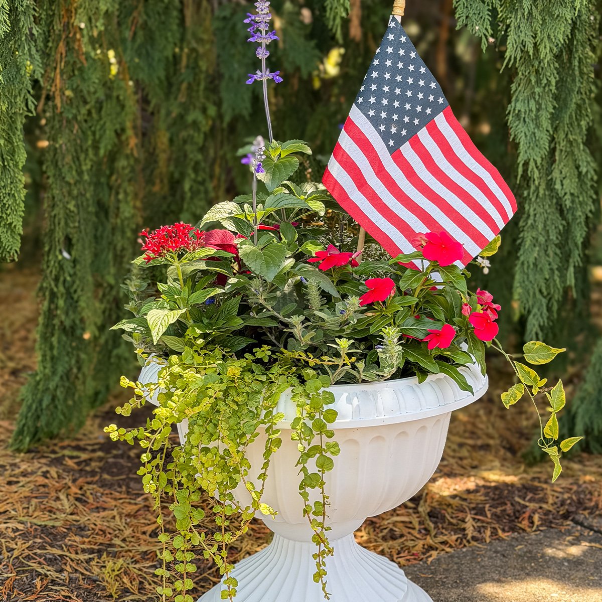 Red, White, & Bloom Make & Take Workshop