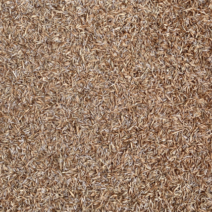 Shade Mix Grass Seed