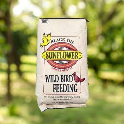 Black Oil Sunflower Seed