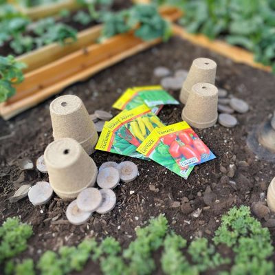 Grow Your Own Food and Plant Your Own Seeds