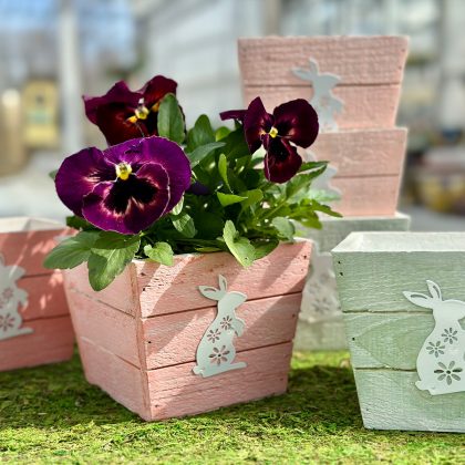 Little Sprouts: Bunny Planter and Easter Egg Hunt