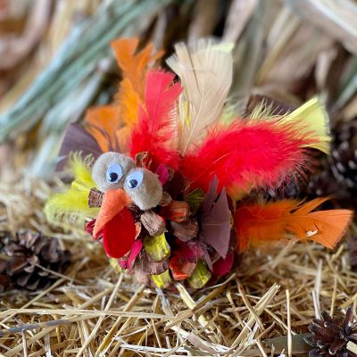 Little Sprouts: Turkey Pinecone