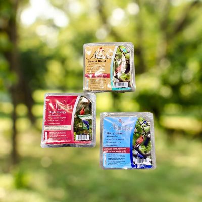 Naturalist Suet Cakes