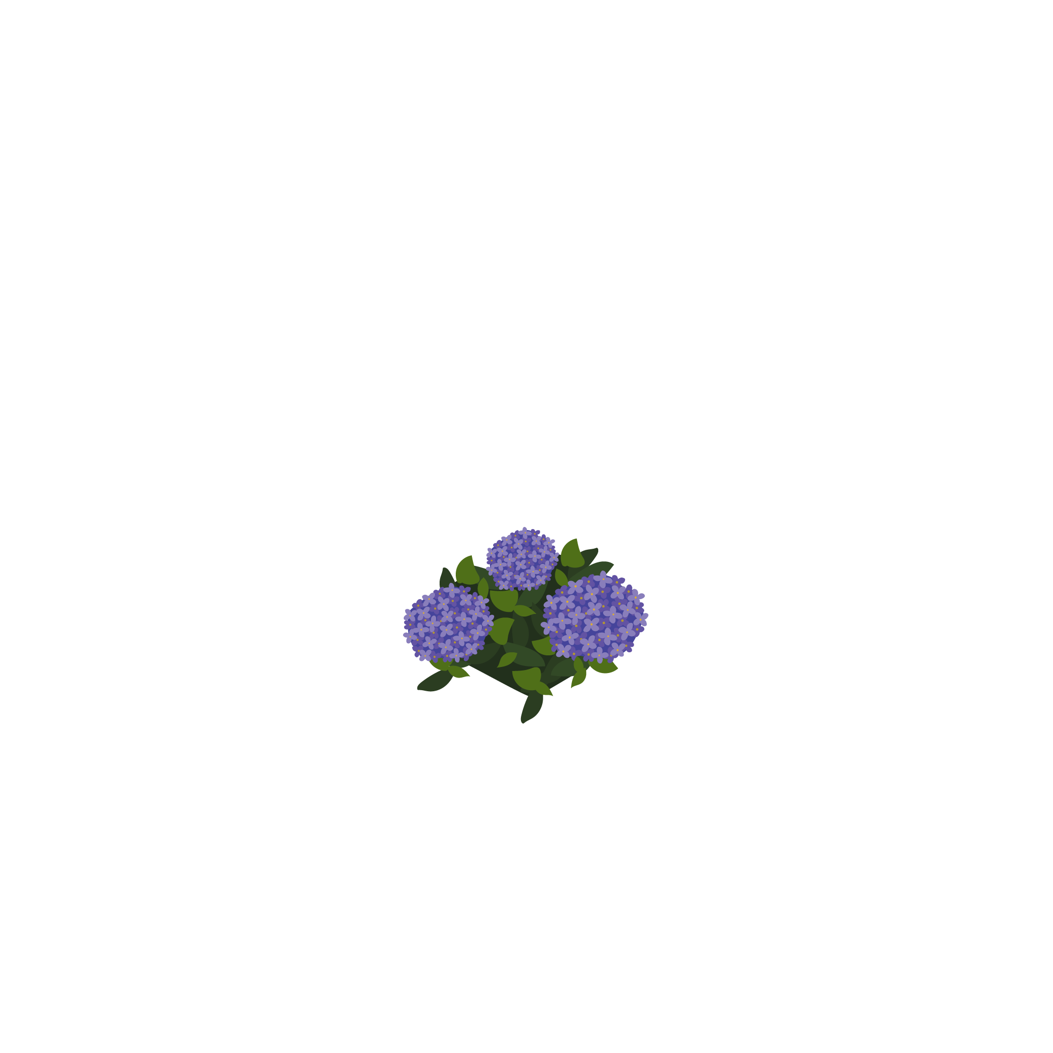 White Oak Delivered