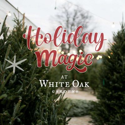 White Oak Holiday Open House