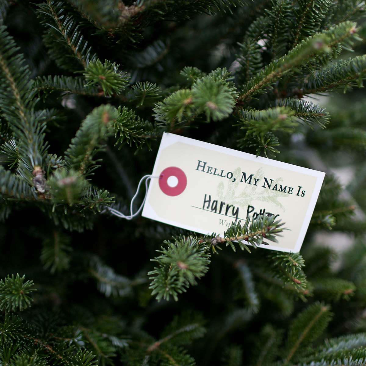 Holiday Open House - Image 4