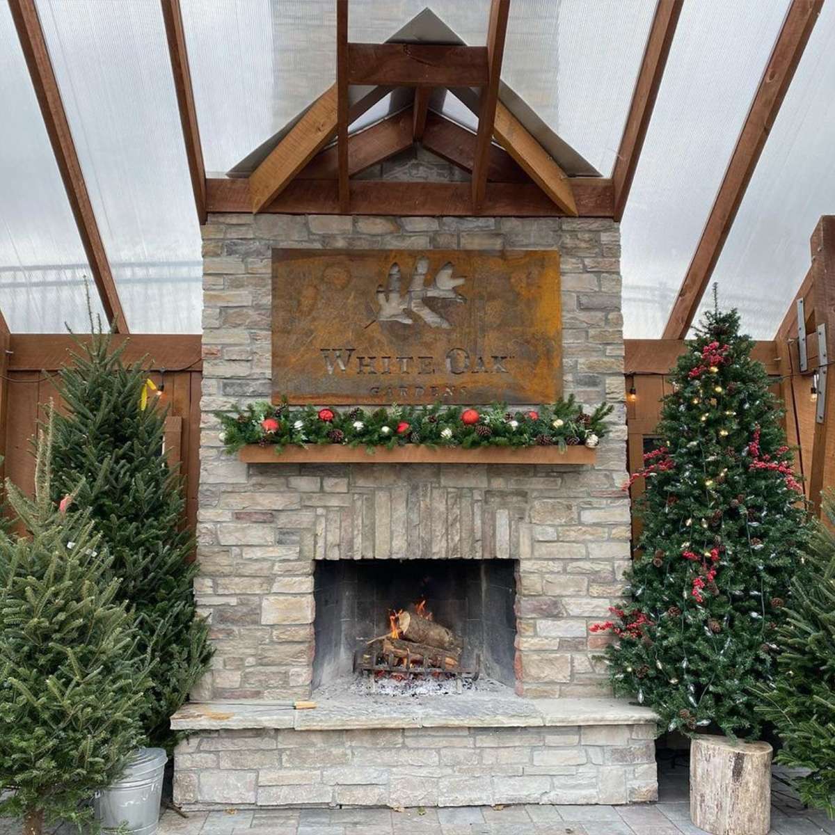 Holiday Open House - Image 3