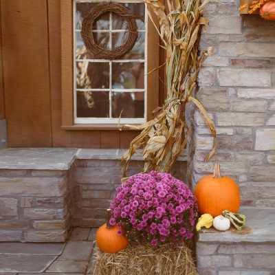 White Oak Gardens Fall-in-One Porch Package